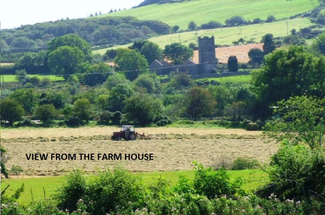 Wonderful Setting Farmhouse Apartment Wicklow Exteriér fotografie